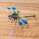 150pcs 3d metal golden dragonfly model building kit