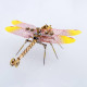 150pcs 3d metal golden dragonfly model building kit