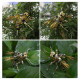 300pcs+ steampunk wasp model building kit full set