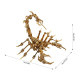 3d metal puzzle scorpion diy model kit detachable 3d jigsaw puzzles