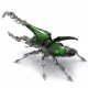 588pcs+ mechanical dynastes large beetle 3d metal model kits -standard version