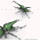 588pcs+ mechanical dynastes large beetle 3d metal model kits -standard version