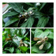 7pcs exquisite mini mechanical insect christmas gift box set educational toy gift