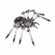 diy metal spider model assembly kit for adults/kids 8+