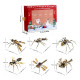 exquisite mechanical insect assembly model week series christmas gift set