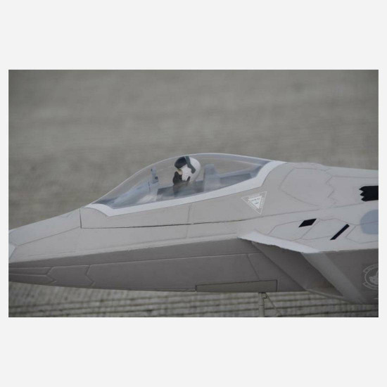 freewing f-22 raptor rc 64mm edf plane pnp epo airplane model