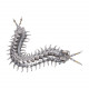 movable centipede 3d diy metal assembly model building kits