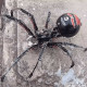 post-apocalyptic destroyed big black spider 3d diy assembly model kits