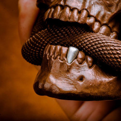 skull & snake statue