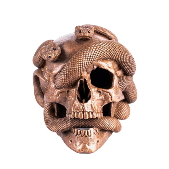 skull & snake statue