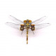 steampunk dragonfly metal model kits for her