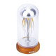 swinging diy jellyfish in a bottle 3d mechanical model for adults desktop toy