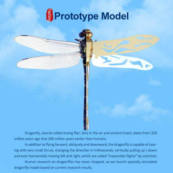 teching flying dragonfly kinetic sculpture 3d metal model diy kits