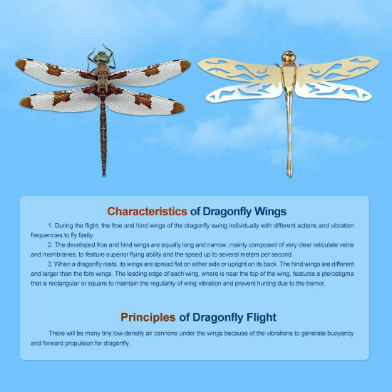 teching flying dragonfly kinetic sculpture 3d metal model diy kits