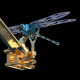 teching flying dragonfly kinetic sculpture 3d metal model diy kits